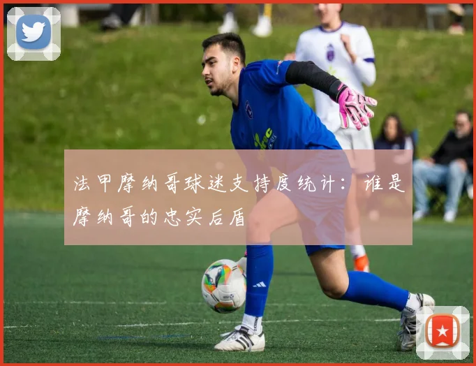 法甲摩纳哥球迷支持度统计：谁是摩纳哥的忠实后盾