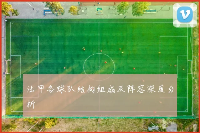 法甲各球队结构组成及阵容深度分析