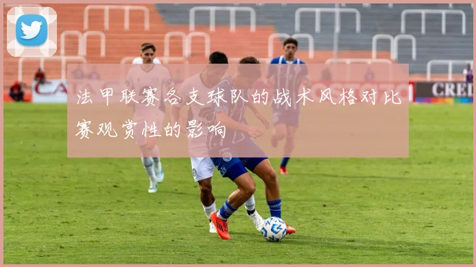 法甲联赛各支球队的战术风格对比赛观赏性的影响