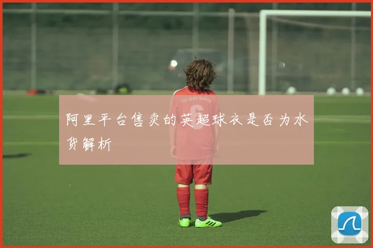 阿里平台售卖的英超球衣是否为水货解析