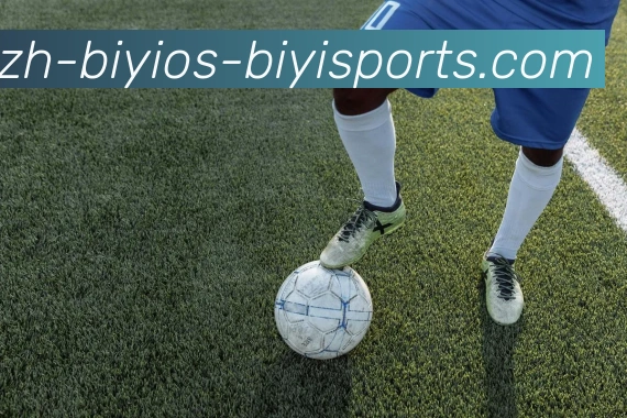 必一体育官方网站平台生态图