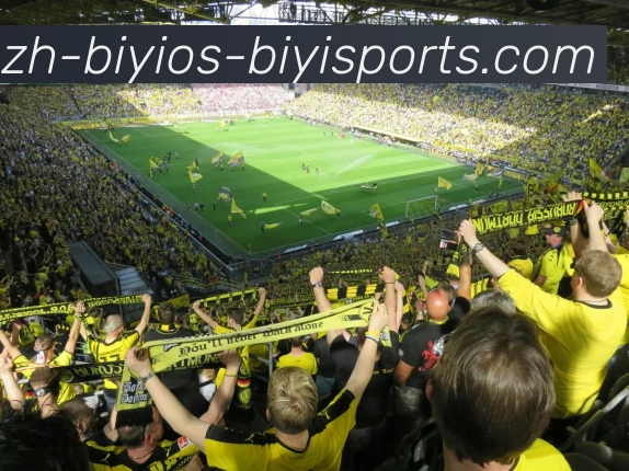 辅助工具 辅助工具